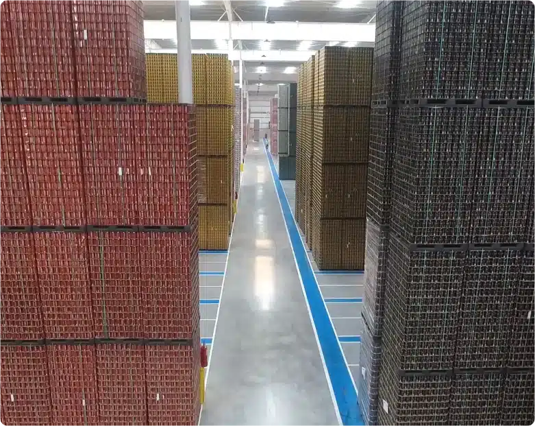 Rectangle-2